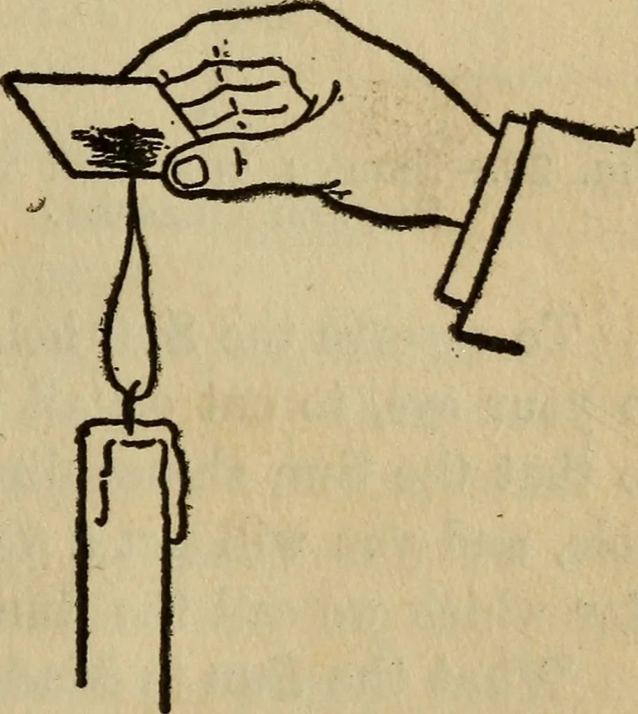 An illustration from The book of stars, 1920, leaf 50