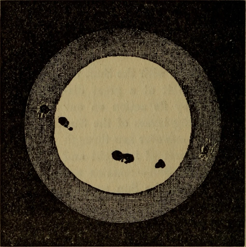 An illustration from The book of stars, 1920, leaf 53