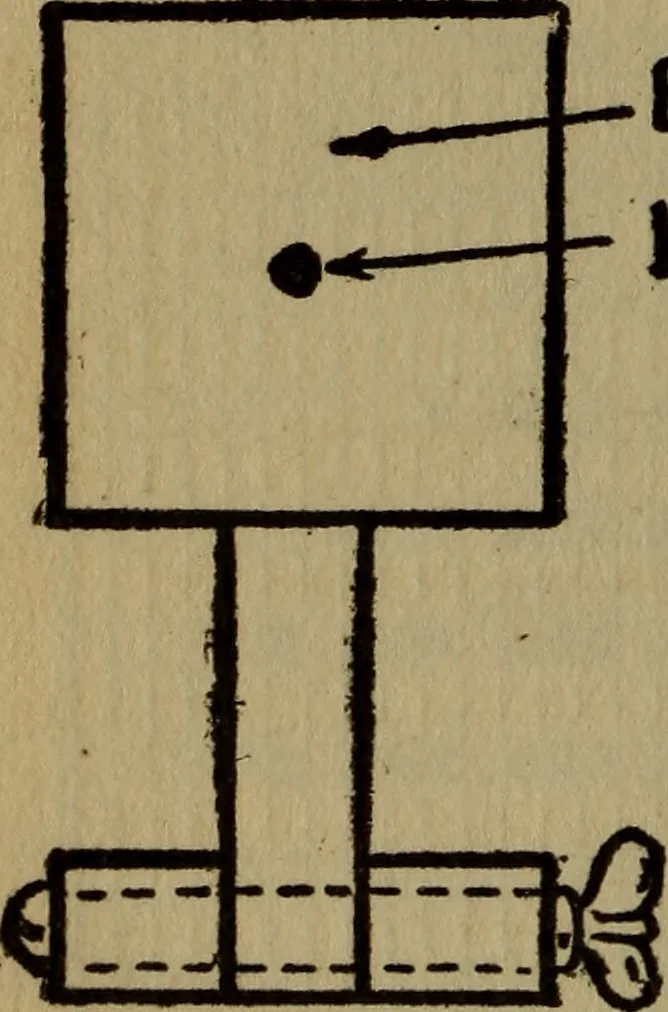 An illustration from The book of stars, 1920, leaf 61