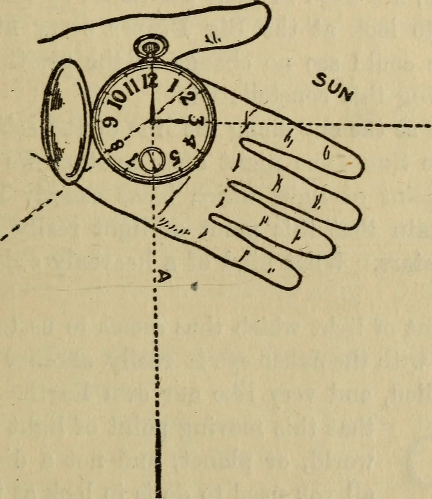 An illustration from The book of stars, 1920, leaf 66