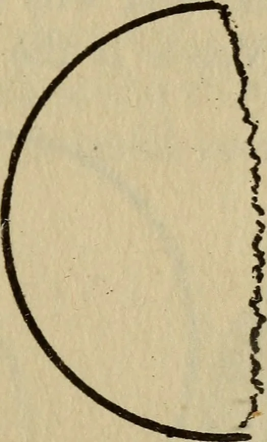 An illustration from The book of stars, 1920, leaf 70