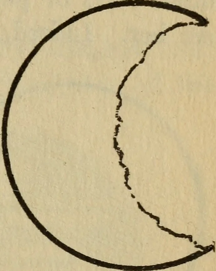 An illustration from The book of stars, 1920, leaf 70