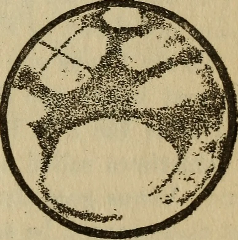 An illustration from The book of stars, 1920, leaf 70