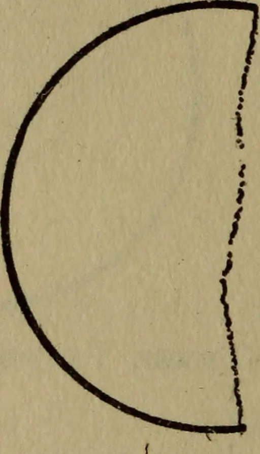An illustration from The book of stars, 1920, leaf 71