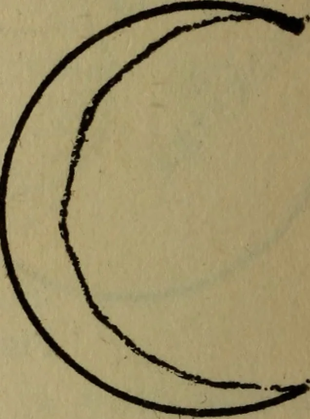 An illustration from The book of stars, 1920, leaf 71