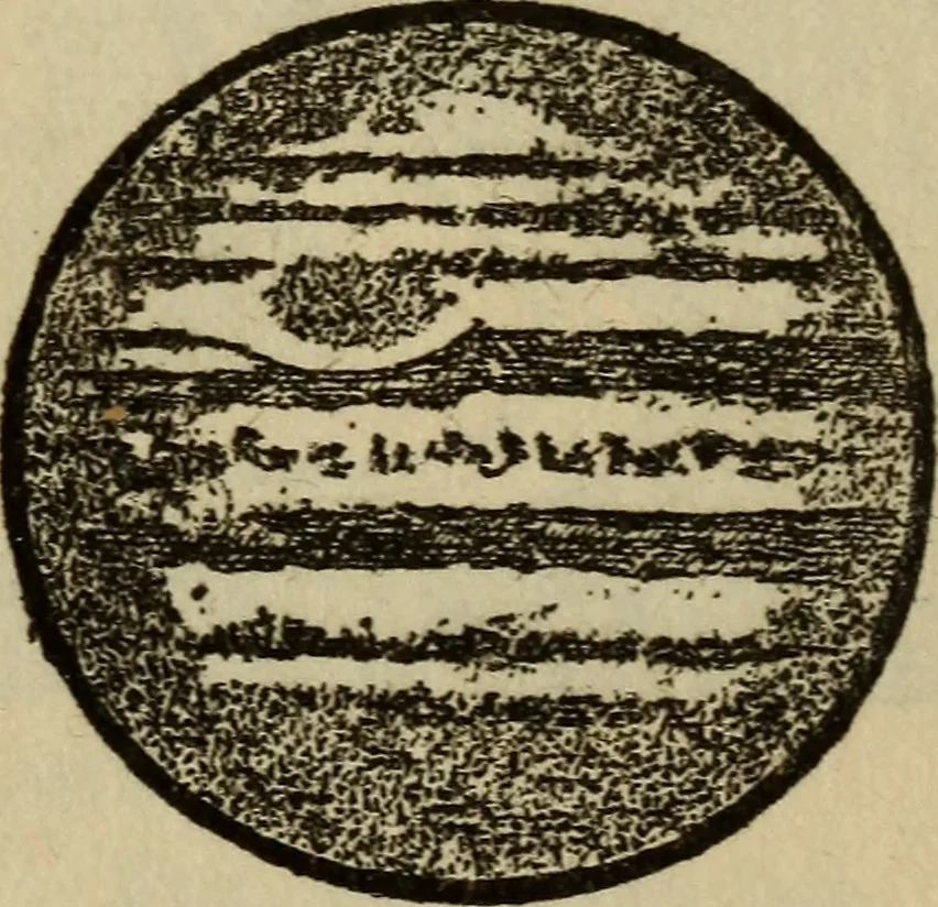 An illustration from The book of stars, 1920, leaf 72
