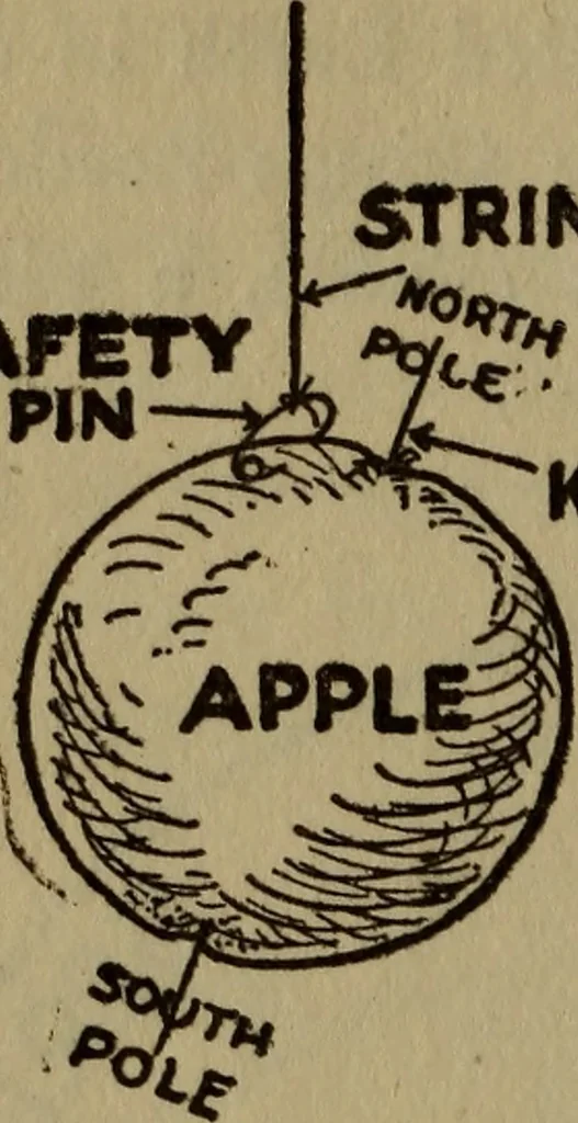 An illustration from The book of stars, 1920, leaf 95