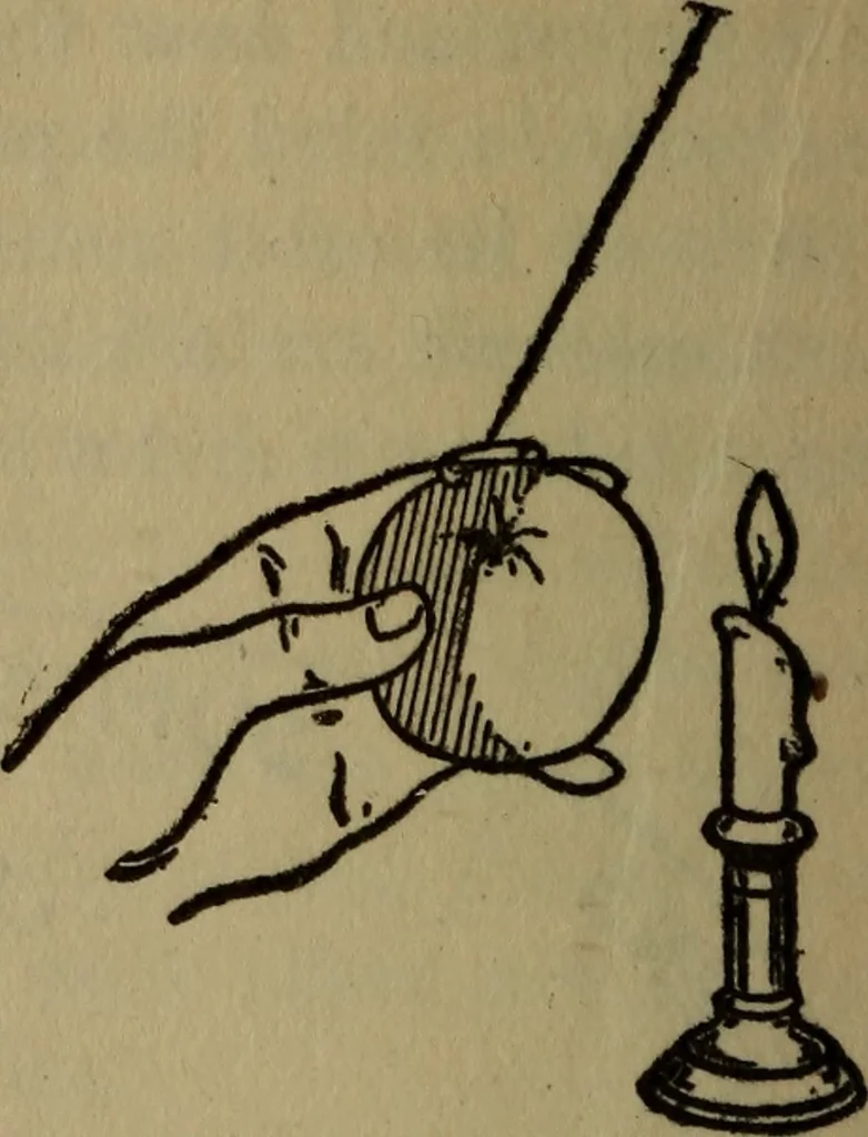 An illustration from The book of stars, 1920, leaf 95