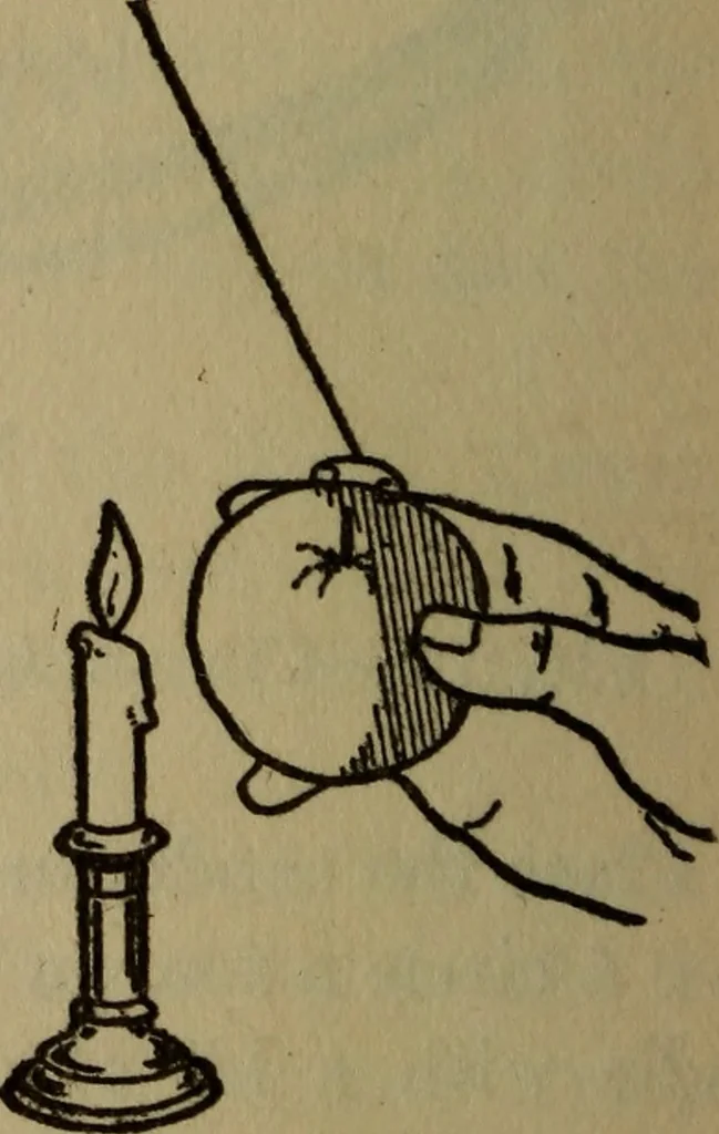 An illustration from The book of stars, 1920, leaf 95