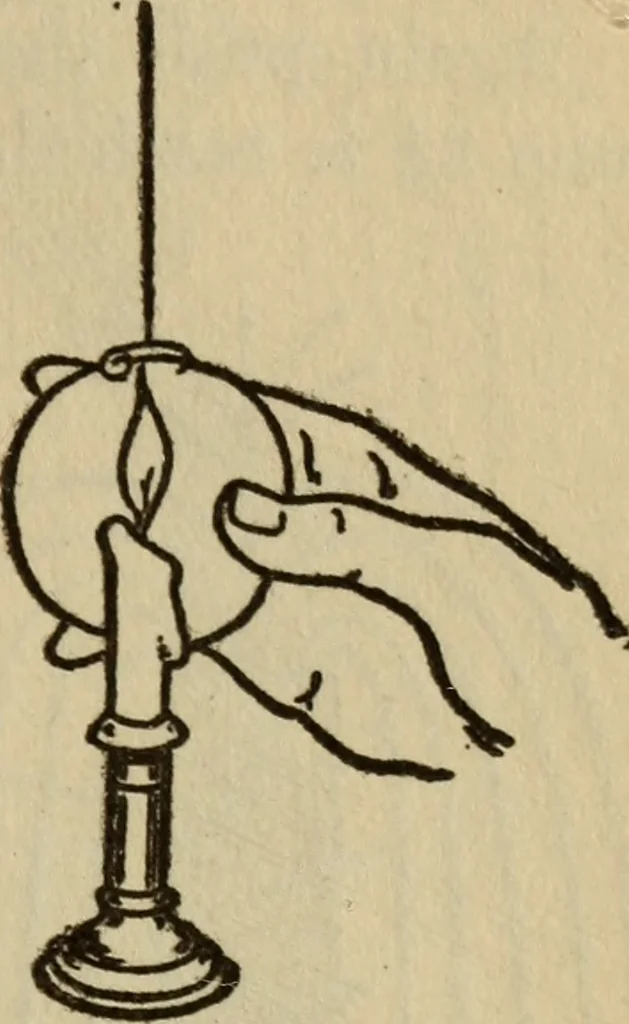 An illustration from The book of stars, 1920, leaf 96