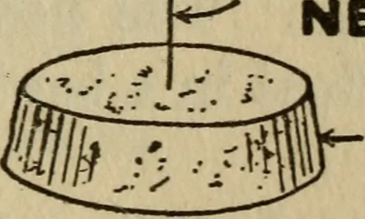 An illustration from The book of stars, 1920, leaf 98