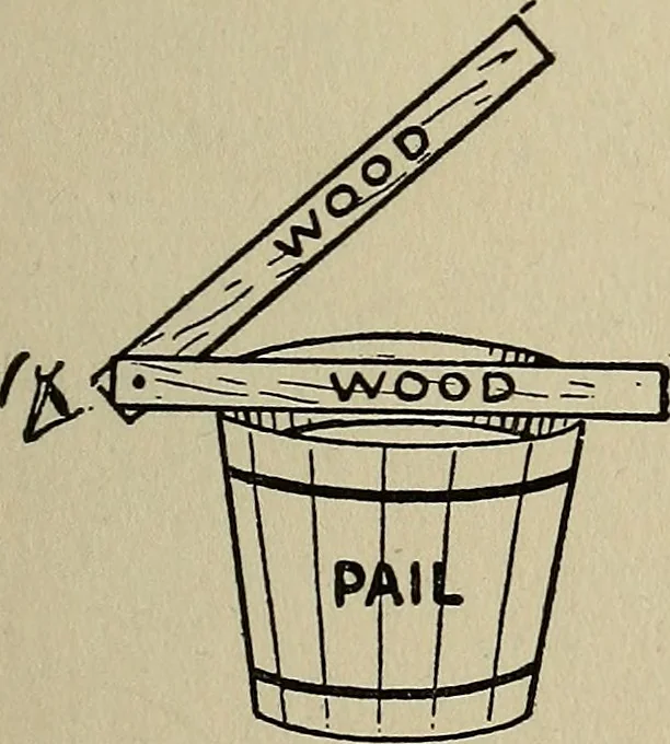 An illustration from The book of stars; being a simple explanation of the stars and their uses to boy life, written to conform to the tests of the Boy scouts, 1915, leaf 102