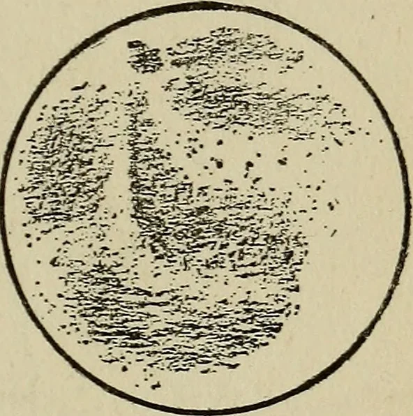 An illustration from The book of stars; being a simple explanation of the stars and their uses to boy life, written to conform to the tests of the Boy scouts, 1915, leaf 112