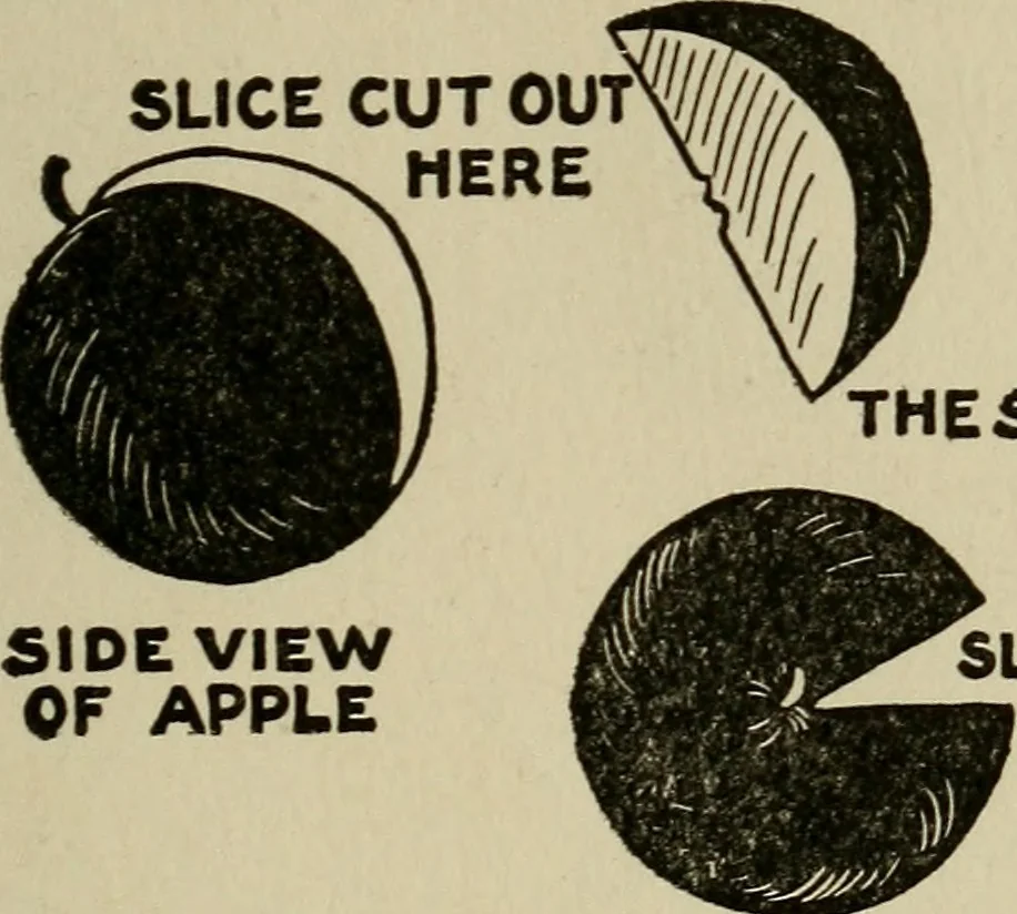 An illustration from The book of stars; being a simple explanation of the stars and their uses to boy life, written to conform to the tests of the Boy scouts, 1915, leaf 114