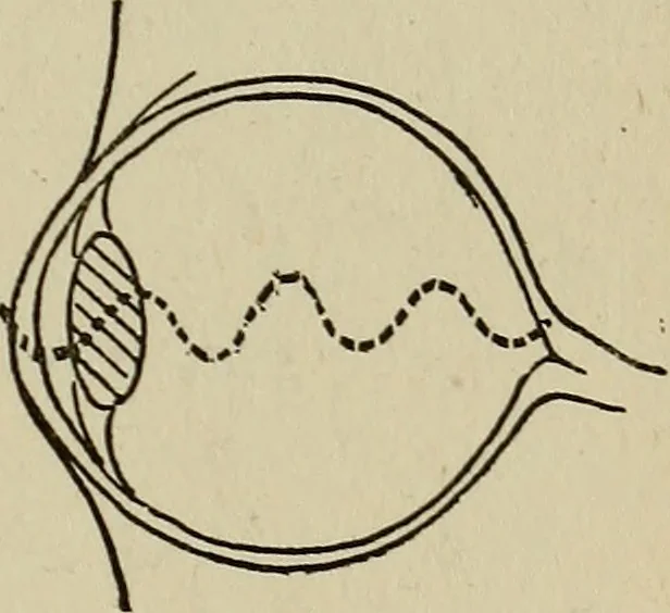 An illustration from The book of stars; being a simple explanation of the stars and their uses to boy life, written to conform to the tests of the Boy scouts, 1915, leaf 146