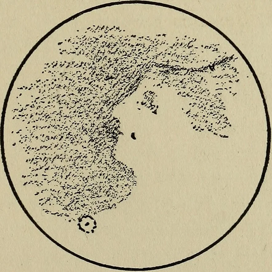 An illustration from The book of stars; being a simple explanation of the stars and their uses to boy life, written to conform to the tests of the Boy scouts, 1915, leaf 166