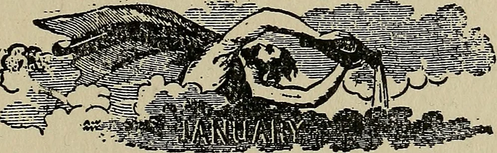 An illustration from The book of stars; being a simple explanation of the stars and their uses to boy life, written to conform to the tests of the Boy scouts, 1915, leaf 192