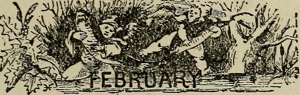 An illustration from The book of stars; being a simple explanation of the stars and their uses to boy life, written to conform to the tests of the Boy scouts, 1915, leaf 194