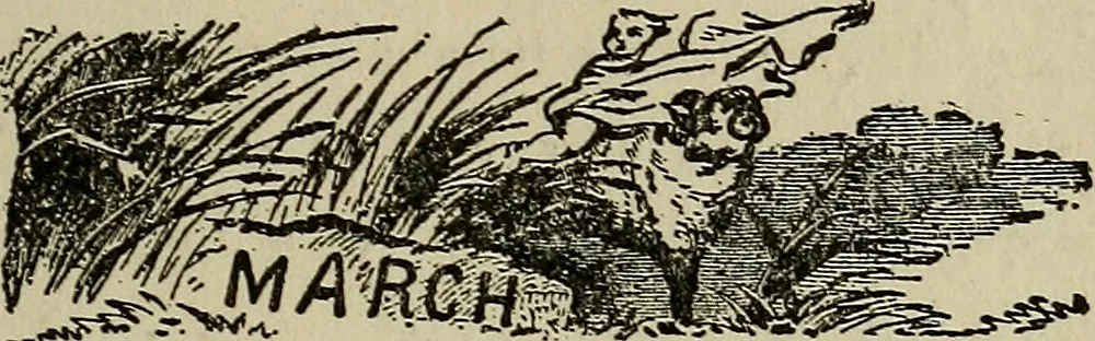 An illustration from The book of stars; being a simple explanation of the stars and their uses to boy life, written to conform to the tests of the Boy scouts, 1915, leaf 194