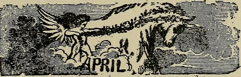 An illustration from The book of stars; being a simple explanation of the stars and their uses to boy life, written to conform to the tests of the Boy scouts, 1915, leaf 194