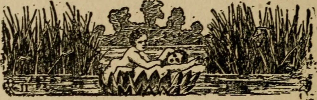 An illustration from The book of stars; being a simple explanation of the stars and their uses to boy life, written to conform to the tests of the Boy scouts, 1915, leaf 195