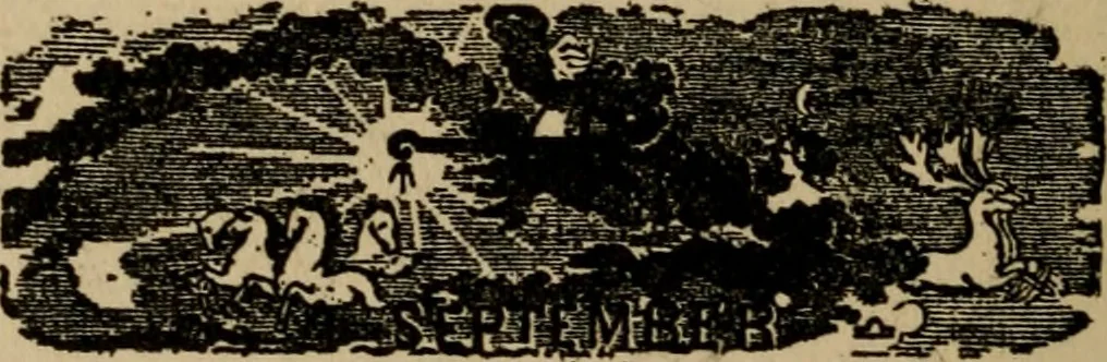 An illustration from The book of stars; being a simple explanation of the stars and their uses to boy life, written to conform to the tests of the Boy scouts, 1915, leaf 197