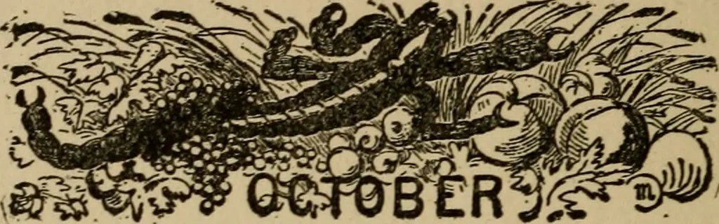 An illustration from The book of stars; being a simple explanation of the stars and their uses to boy life, written to conform to the tests of the Boy scouts, 1915, leaf 199