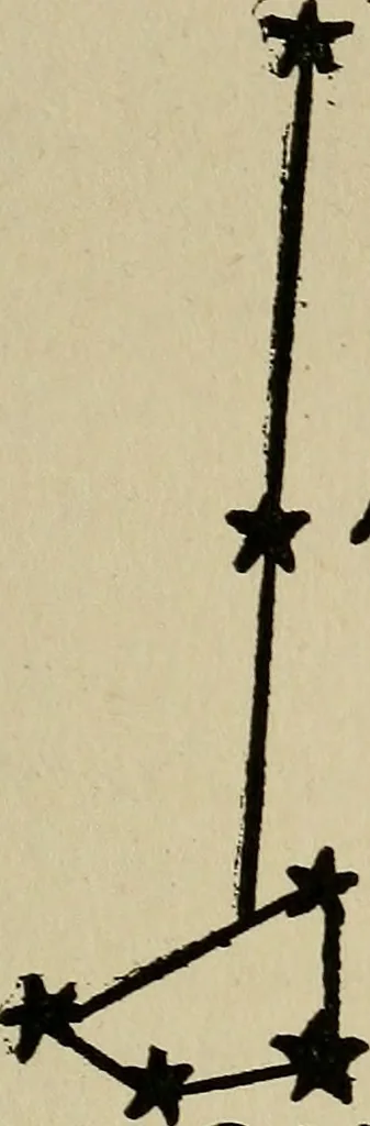An illustration from The book of stars; being a simple explanation of the stars and their uses to boy life, written to conform to the tests of the Boy scouts, 1915, leaf 200