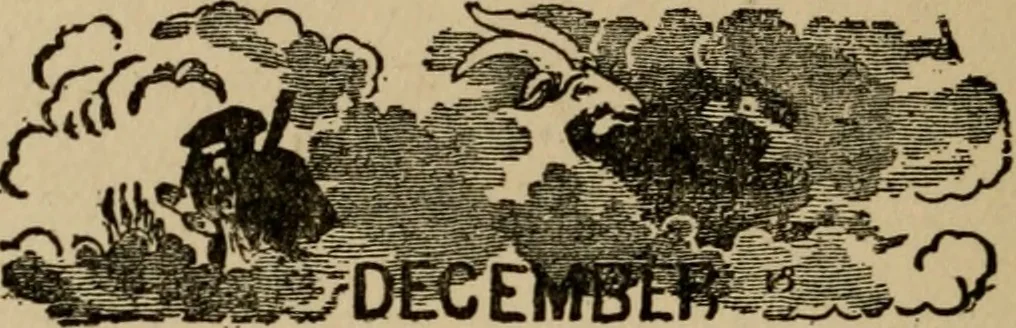 An illustration from The book of stars; being a simple explanation of the stars and their uses to boy life, written to conform to the tests of the Boy scouts, 1915, leaf 201