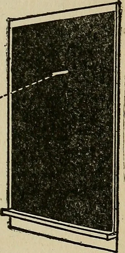 An illustration from The book of stars; being a simple explanation of the stars and their uses to boy life, written to conform to the tests of the Boy scouts, 1915, leaf 208