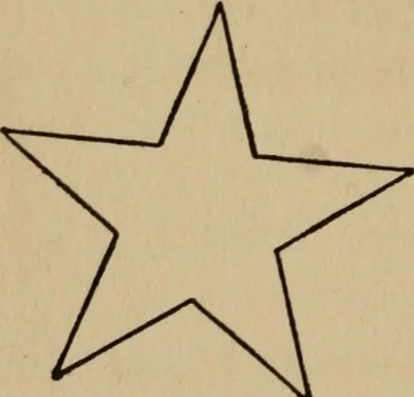 An illustration from The book of stars; being a simple explanation of the stars and their uses to boy life, written to conform to the tests of the Boy scouts, 1915, leaf 21