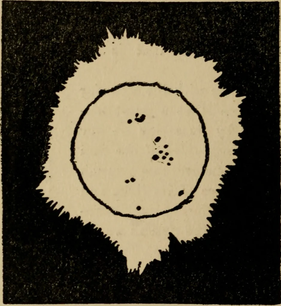 An illustration from The book of stars; being a simple explanation of the stars and their uses to boy life, written to conform to the tests of the Boy scouts, 1915, leaf 51