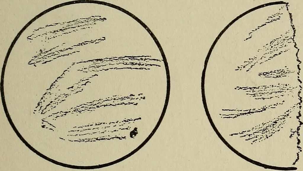 An illustration from The book of stars; being a simple explanation of the stars and their uses to boy life, written to conform to the tests of the Boy scouts, 1915, leaf 68