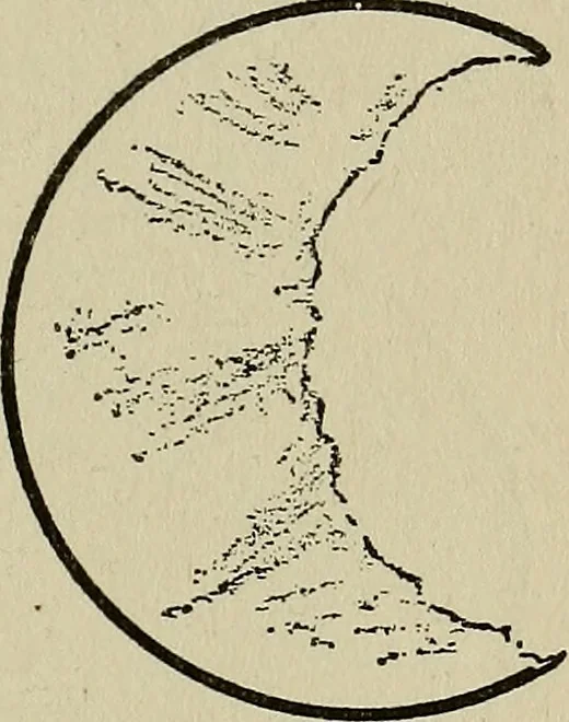 An illustration from The book of stars; being a simple explanation of the stars and their uses to boy life, written to conform to the tests of the Boy scouts, 1915, leaf 68