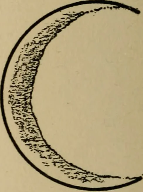 An illustration from The book of stars; being a simple explanation of the stars and their uses to boy life, written to conform to the tests of the Boy scouts, 1915, leaf 69