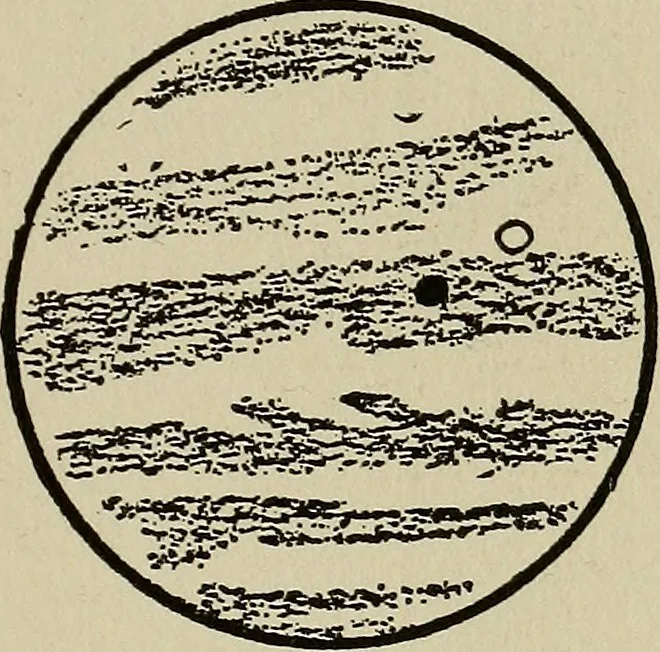 An illustration from The book of stars; being a simple explanation of the stars and their uses to boy life, written to conform to the tests of the Boy scouts, 1915, leaf 70