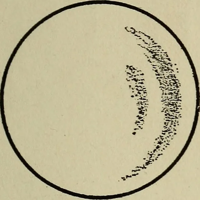 An illustration from The book of stars; being a simple explanation of the stars and their uses to boy life, written to conform to the tests of the Boy scouts, 1915, leaf 72