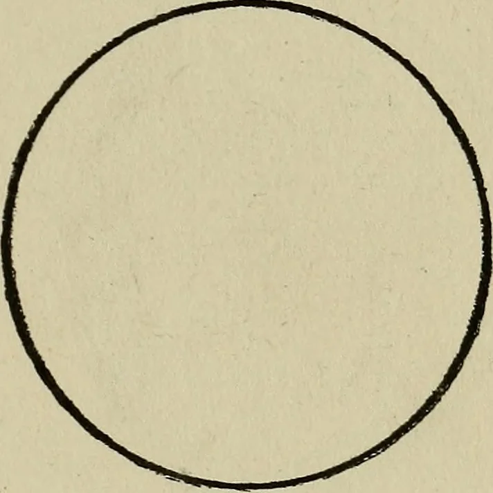 An illustration from The book of stars; being a simple explanation of the stars and their uses to boy life, written to conform to the tests of the Boy scouts, 1915, leaf 72