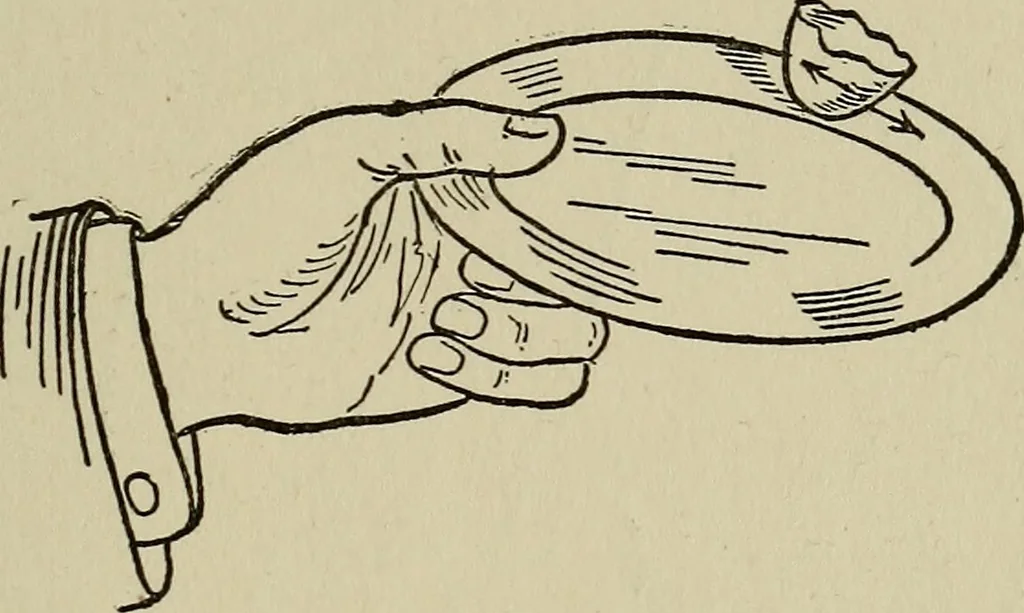 An illustration from The book of stars; being a simple explanation of the stars and their uses to boy life, written to conform to the tests of the Boy scouts, 1915, leaf 76