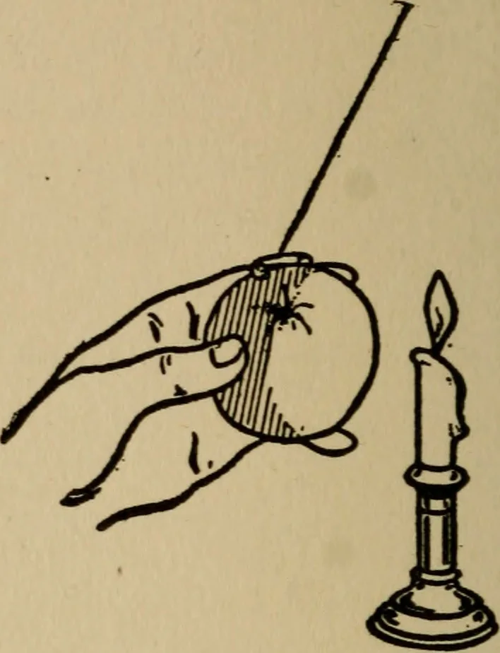 An illustration from The book of stars; being a simple explanation of the stars and their uses to boy life, written to conform to the tests of the Boy scouts, 1915, leaf 93