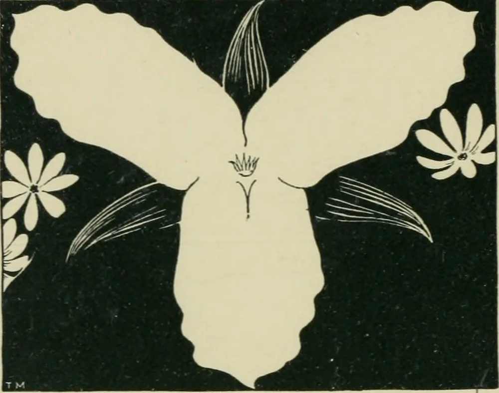 An illustration from A book of studies in plant form with some suggestions for their application to design, 1896, leaf 1