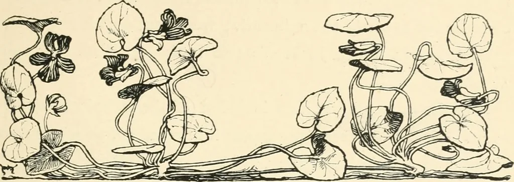 An illustration from A book of studies in plant form with some suggestions for their application to design, 1896, leaf 10