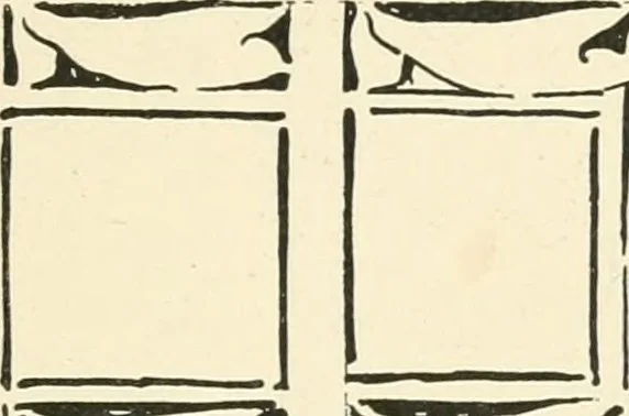 An illustration from A book of studies in plant form with some suggestions for their application to design, 1896, leaf 114