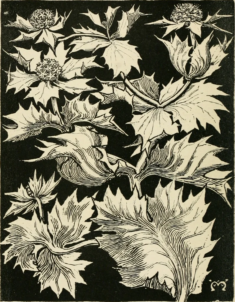 An illustration from A book of studies in plant form with some suggestions for their application to design, 1896, leaf 131