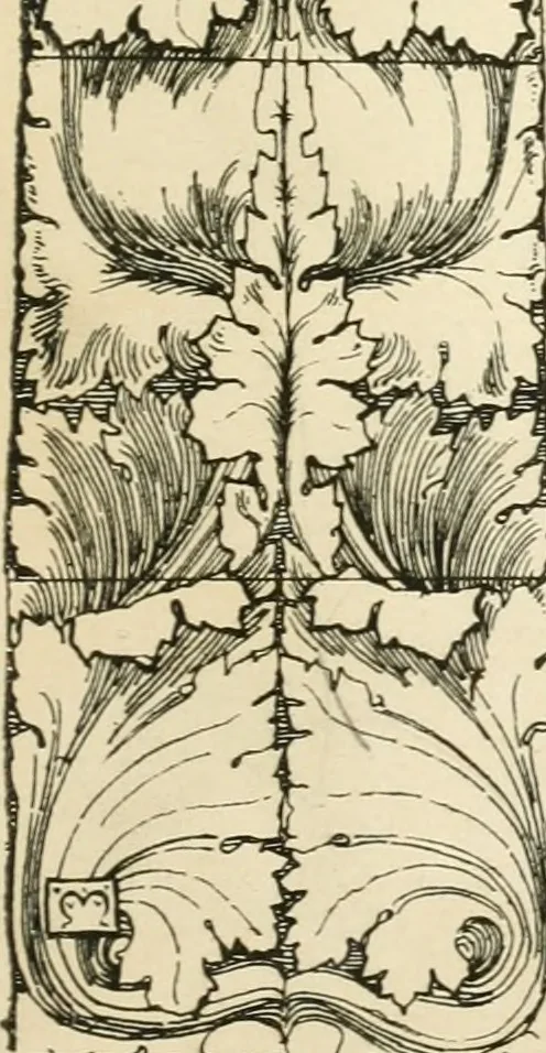 An illustration from A book of studies in plant form with some suggestions for their application to design, 1896, leaf 144