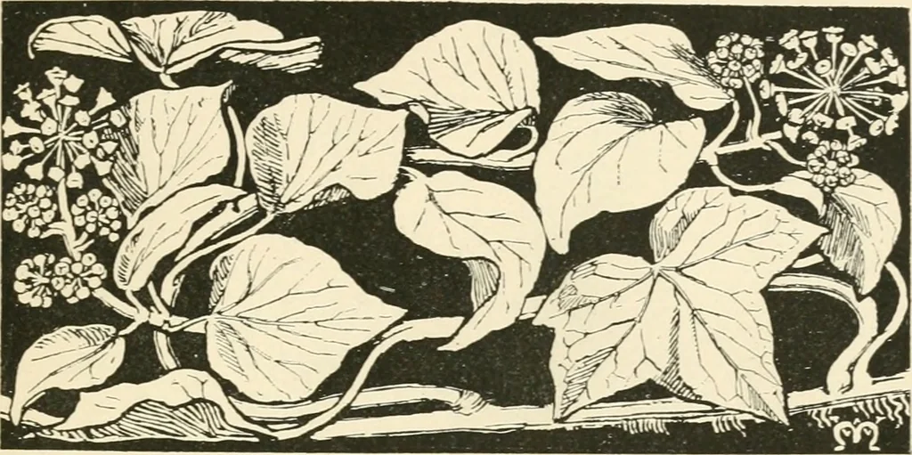 An illustration from A book of studies in plant form with some suggestions for their application to design, 1896, leaf 20