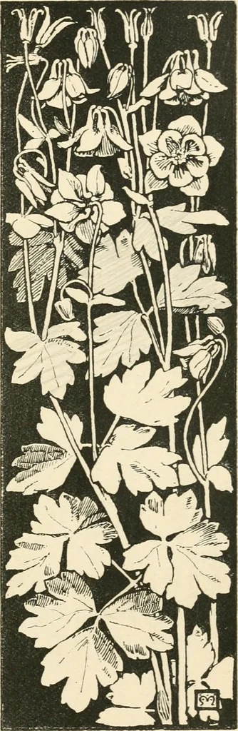 An illustration from A book of studies in plant form with some suggestions for their application to design, 1896, leaf 22