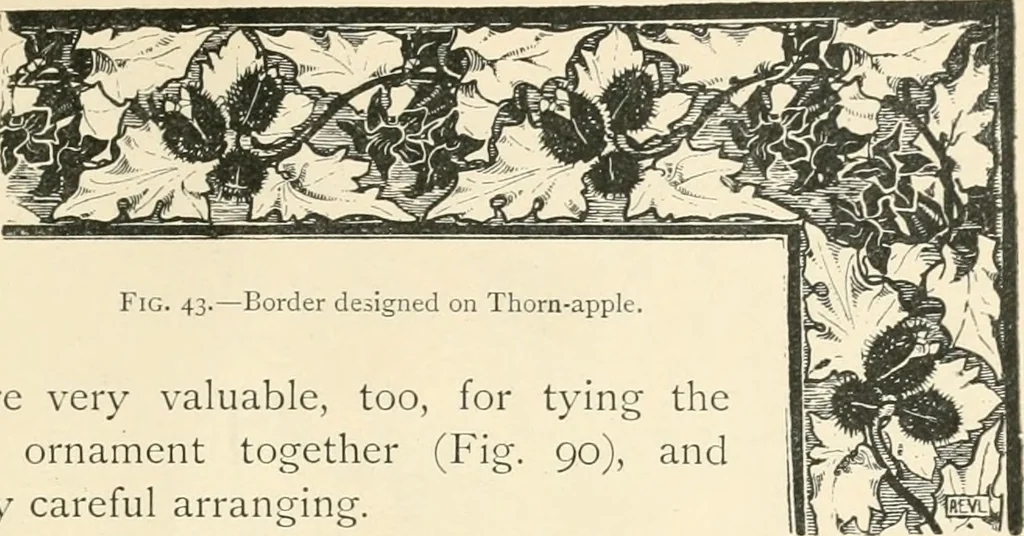 An illustration from A book of studies in plant form with some suggestions for their application to design, 1896, leaf 46