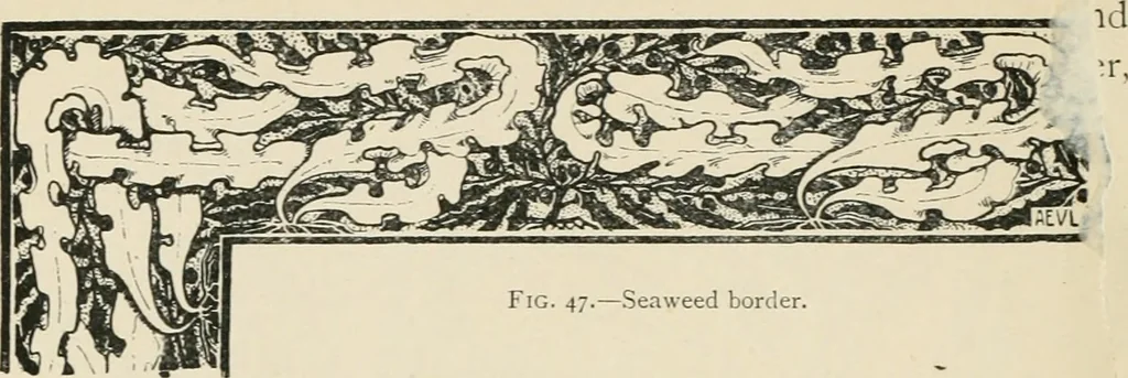 An illustration from A book of studies in plant form with some suggestions for their application to design, 1896, leaf 49