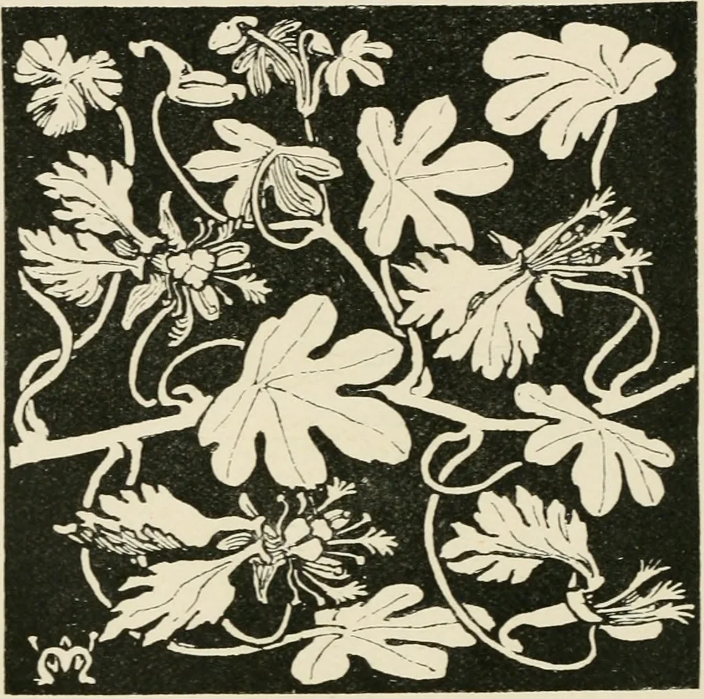 An illustration from A book of studies in plant form with some suggestions for their application to design, 1896, leaf 51